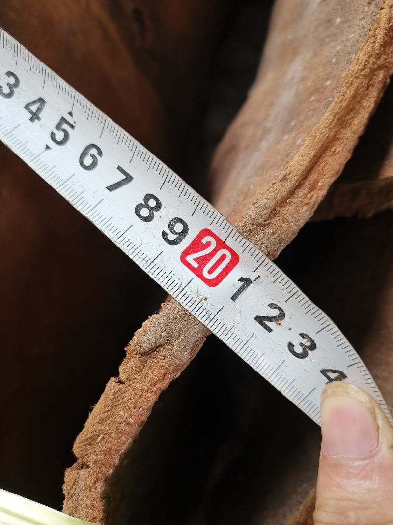 百年高山油桂百年肉桂皮厚1厘米厚度精品货，一般买不到的货。