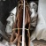百年高山油桂百年肉桂皮厚1厘米厚度精品货，一般买不到的货。