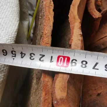 百年高山油桂百年肉桂皮厚1厘米厚度精品货，一般买不到的货。