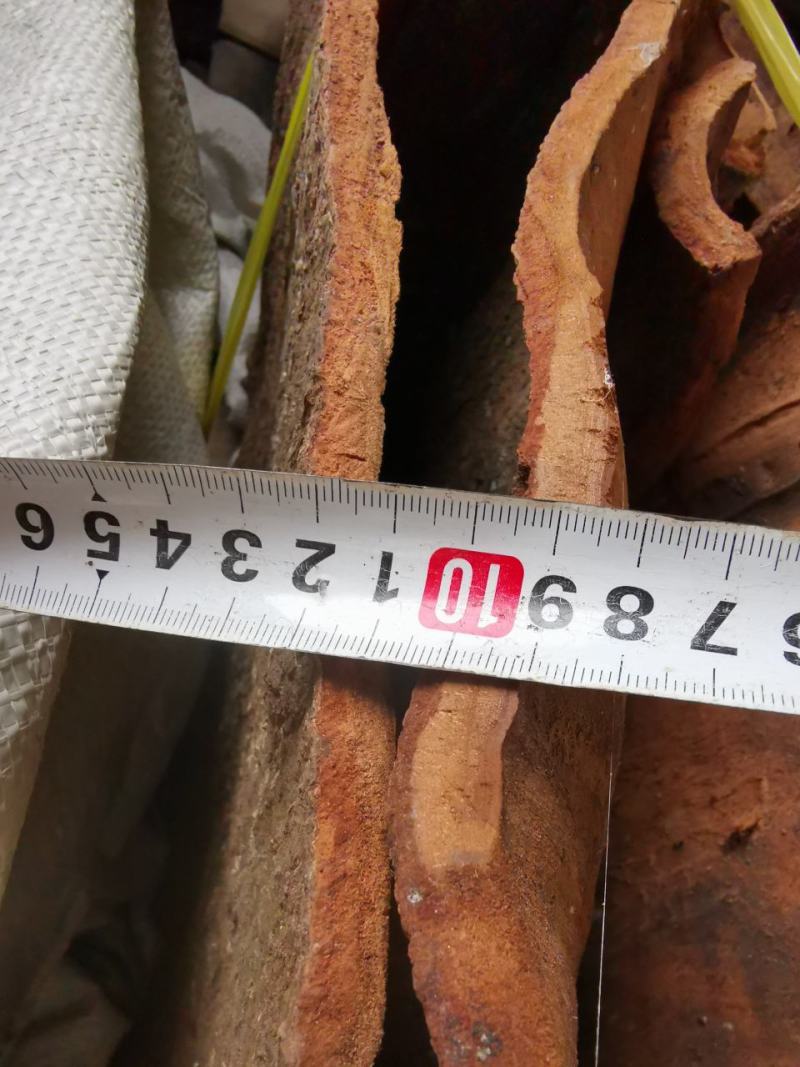 百年高山油桂百年肉桂皮厚1厘米厚度精品货，一般买不到的货。