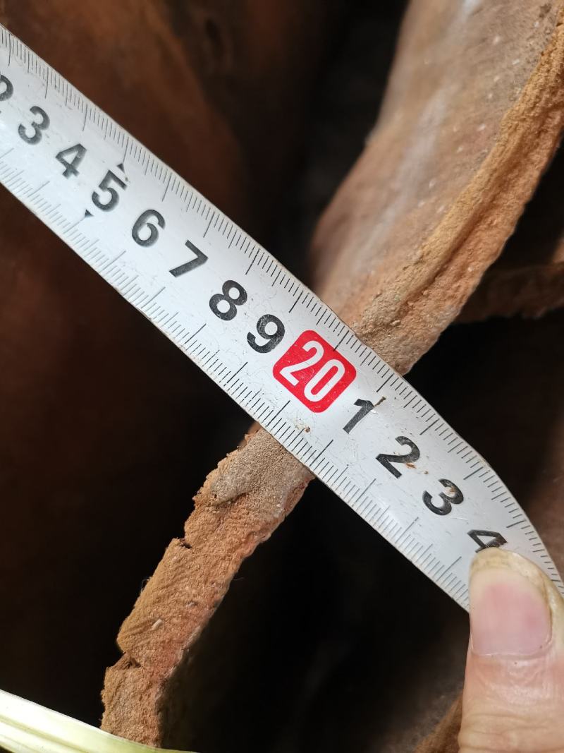 百年高山油桂百年肉桂皮厚1厘米厚度精品货，一般买不到的货。