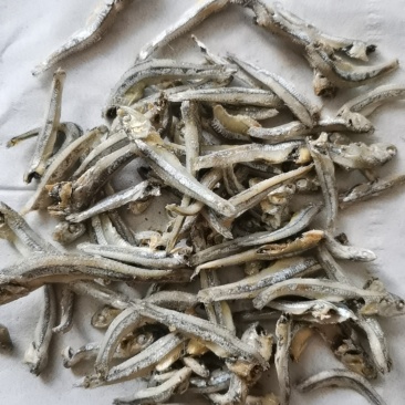 小公鱼整柜鱼干