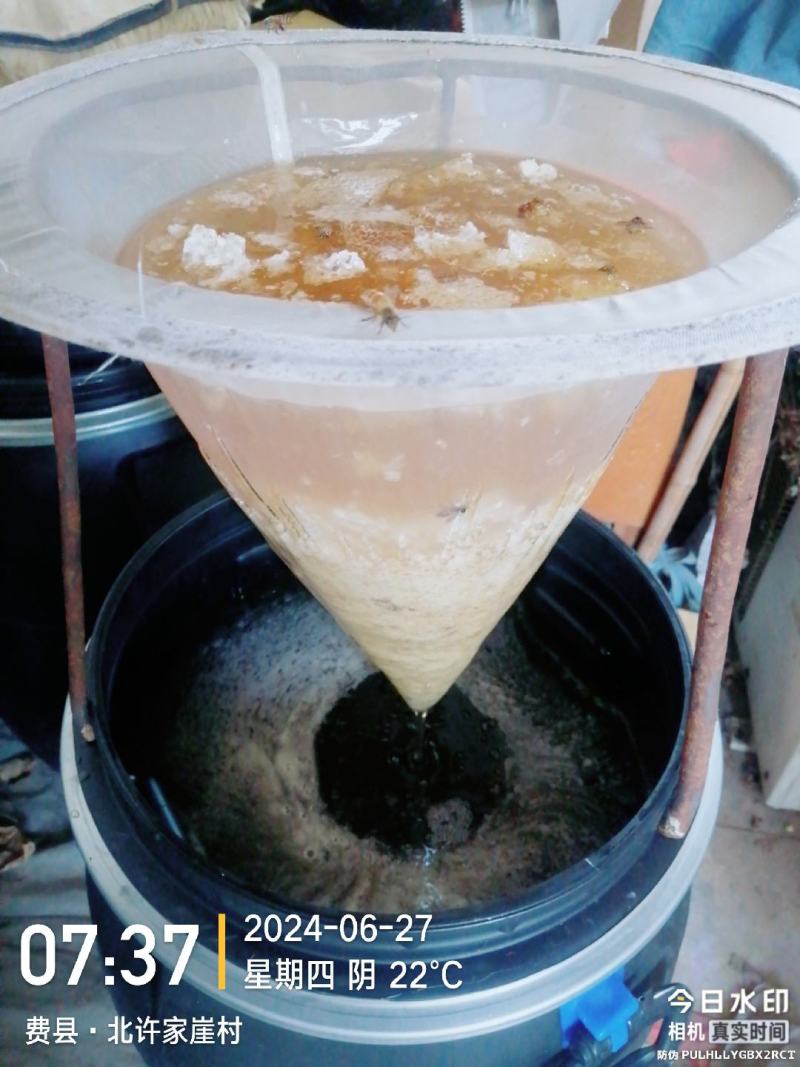 自家养的纯蜂蜜精品土蜂蜜量大从优欢迎来电咨询