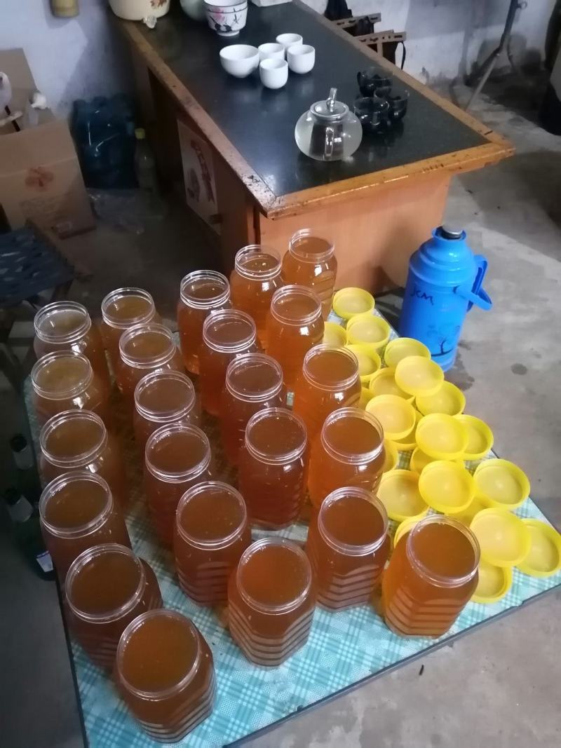 自家养的纯蜂蜜精品土蜂蜜量大从优欢迎来电咨询