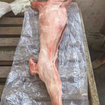 羊肉，白条羊