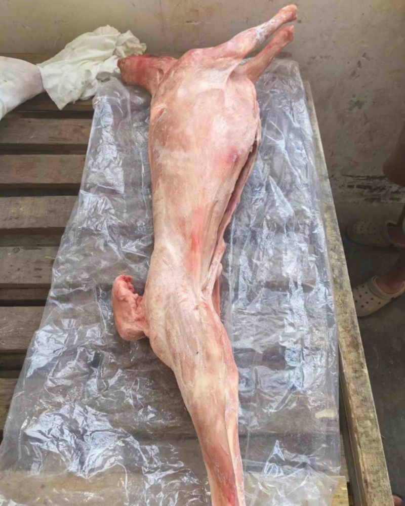 羊肉，白条羊