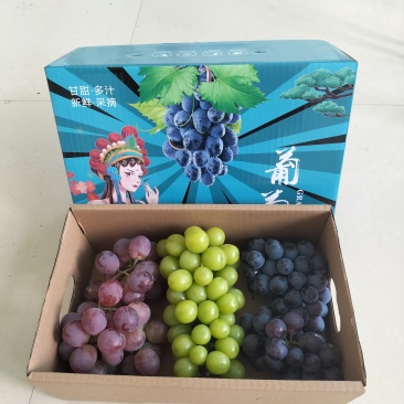 阳光玫瑰+红提+玫瑰香三拼精品小礼盒