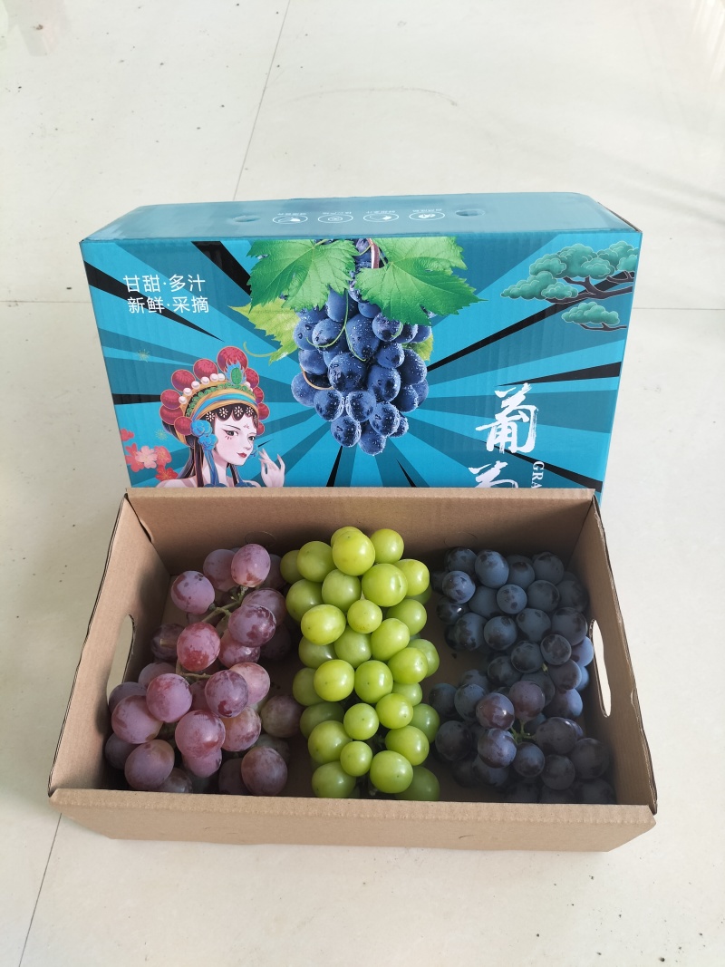 阳光玫瑰+红提+玫瑰香三拼精品小礼盒