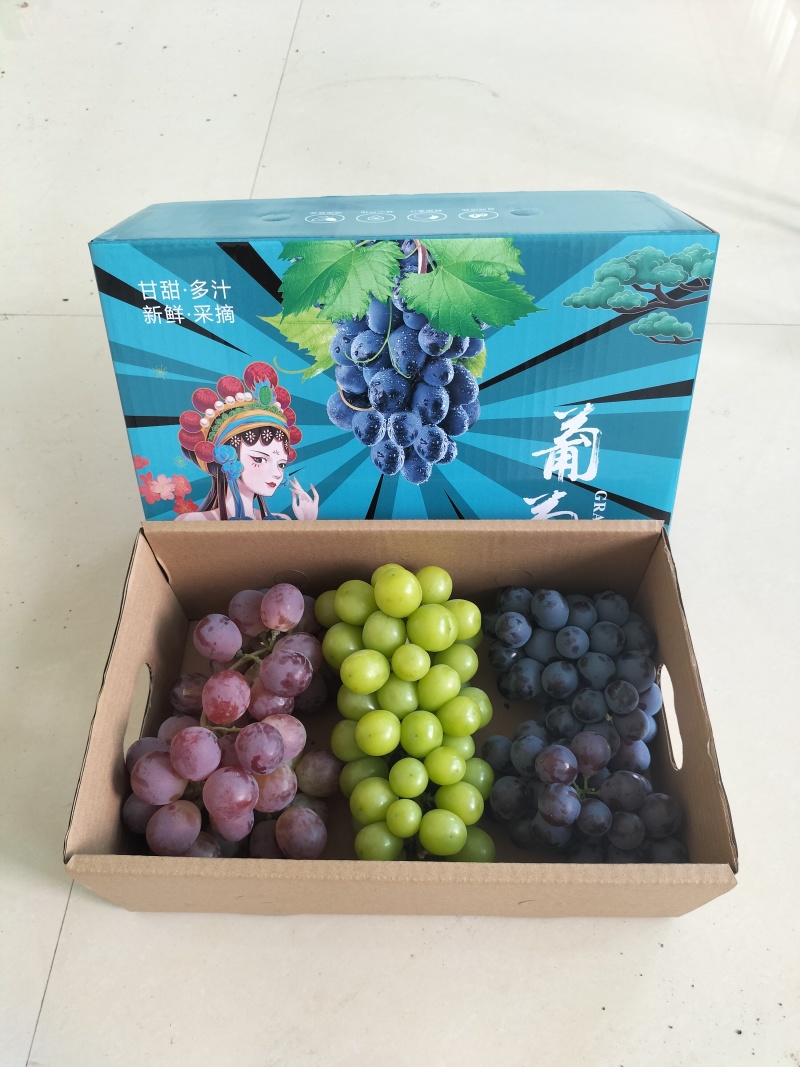 阳光玫瑰+红提+玫瑰香三拼精品小礼盒