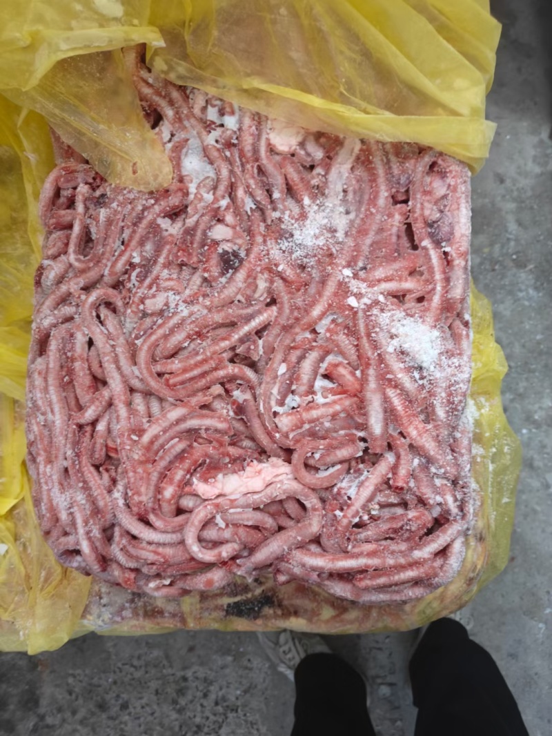 鹅气管