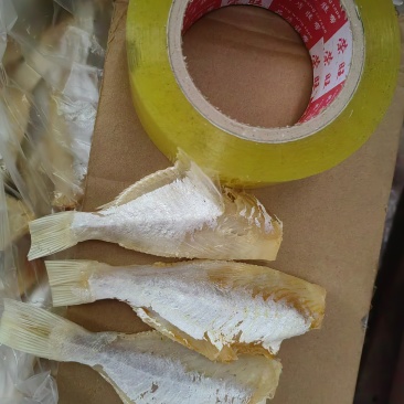咸鱼大目鱼大眼鱼