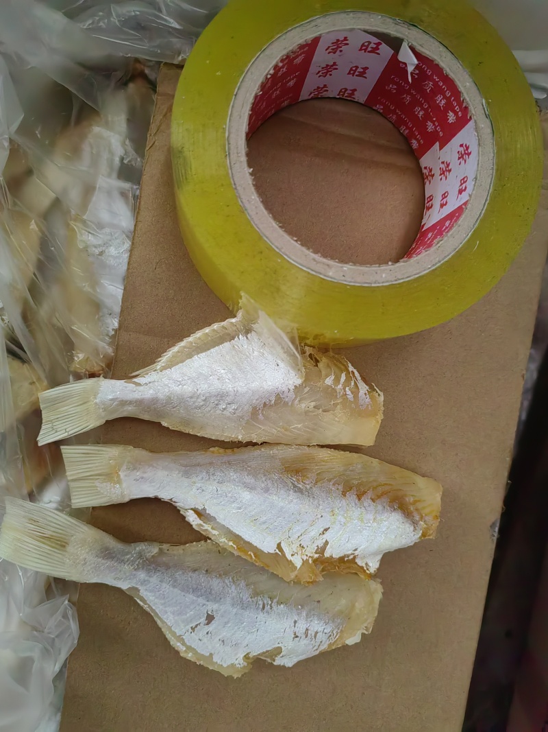 咸鱼大目鱼大眼鱼