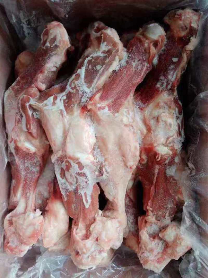 后腿骨