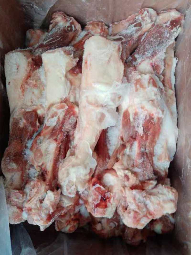 后腿骨