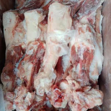 后腿骨