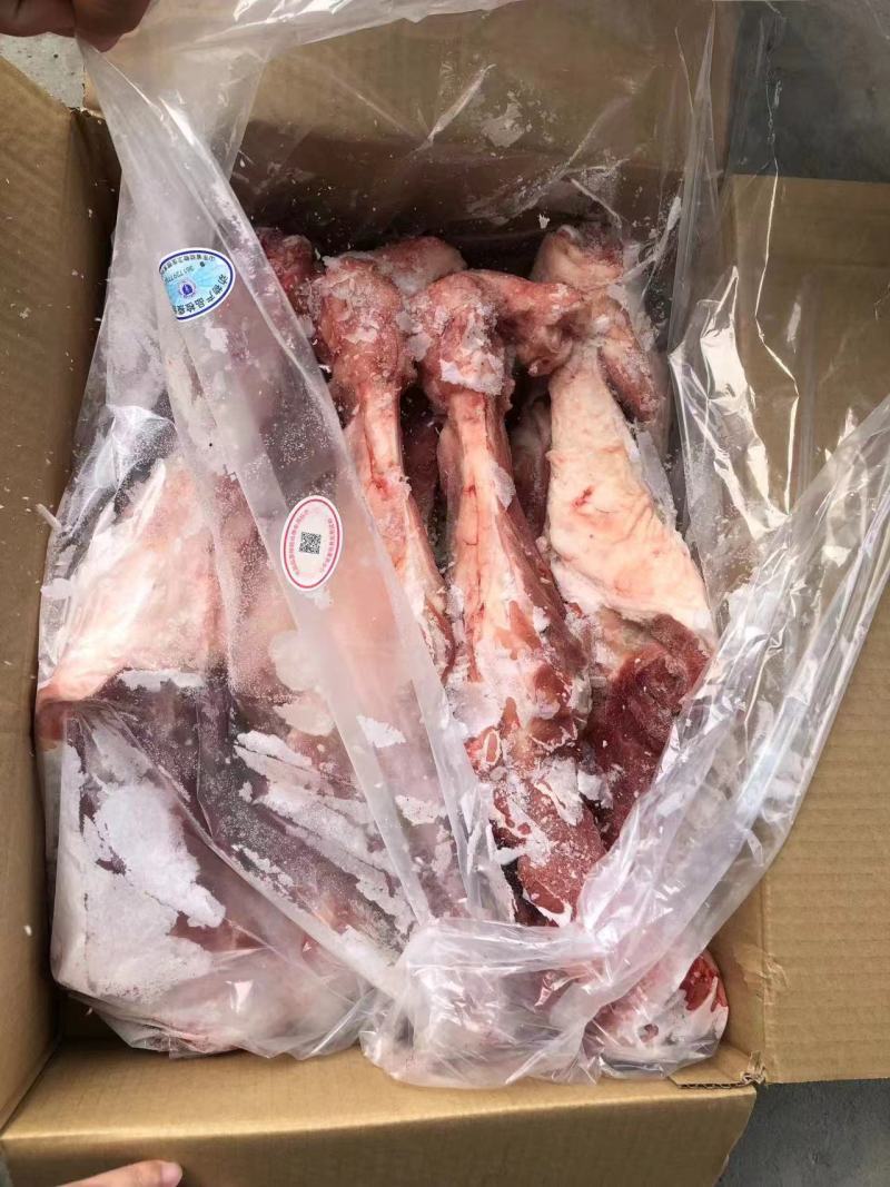 后腿骨