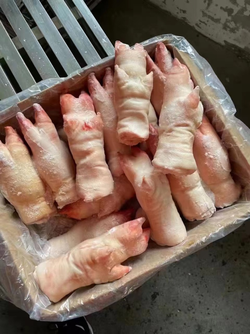 猪蹄