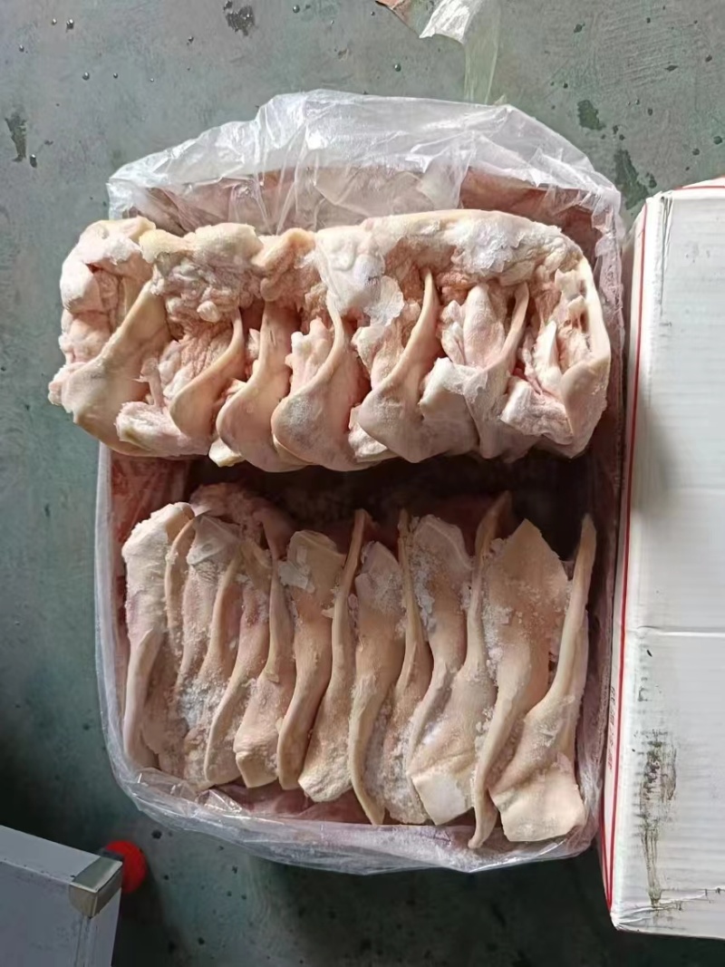 肥猪耳