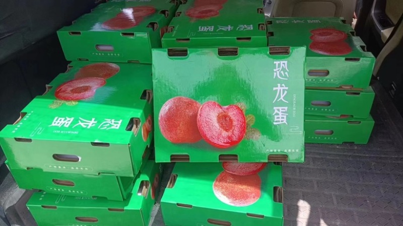 恐龙蛋李子，礼盒装、筐装，2种规格，空运、批发、代发、团购