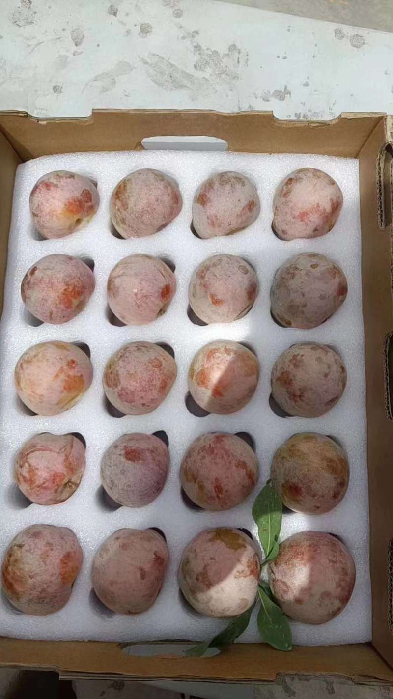 恐龙蛋李子，礼盒装、筐装，2种规格，空运、批发、代发、团购
