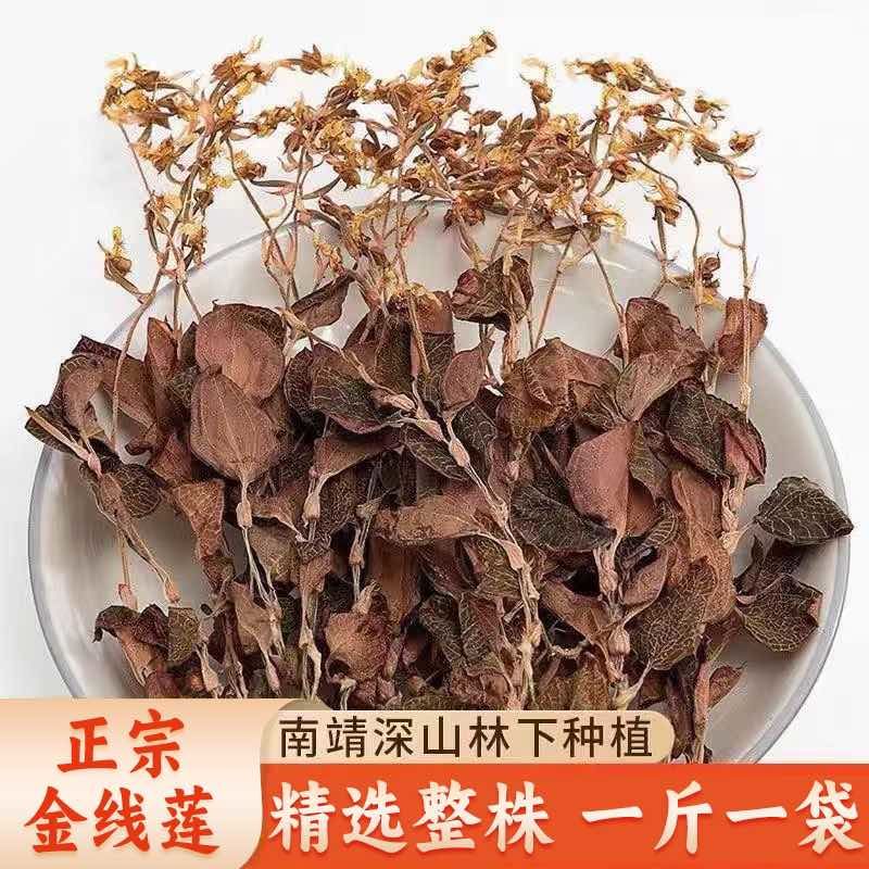 整株无碎全开花高品质金线莲无添加林下种植人工培植