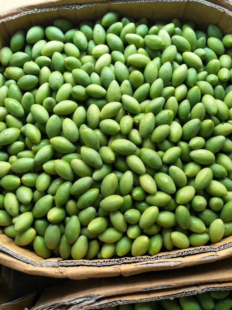 新鲜橄榄