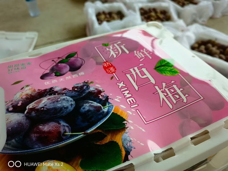 新疆喀什法兰西梅大量上市！