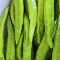 青椒