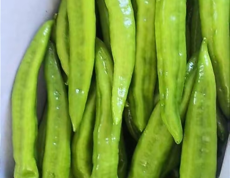 青椒