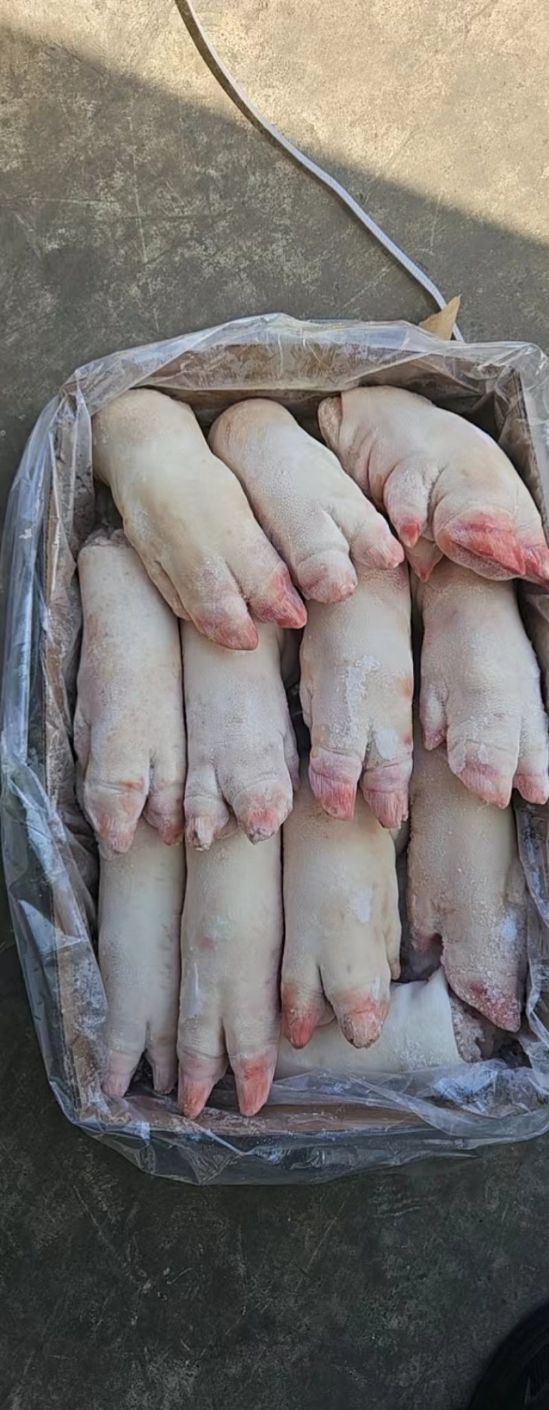 一级纯干母猪蹄
