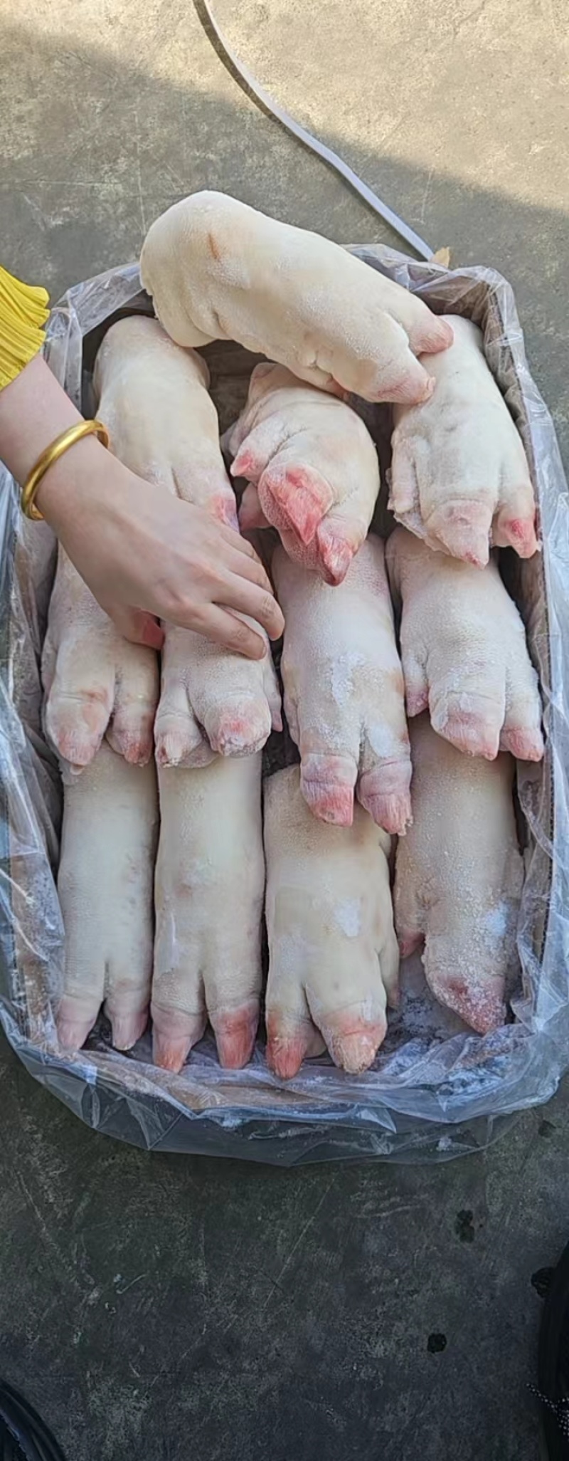 一级纯干母猪蹄