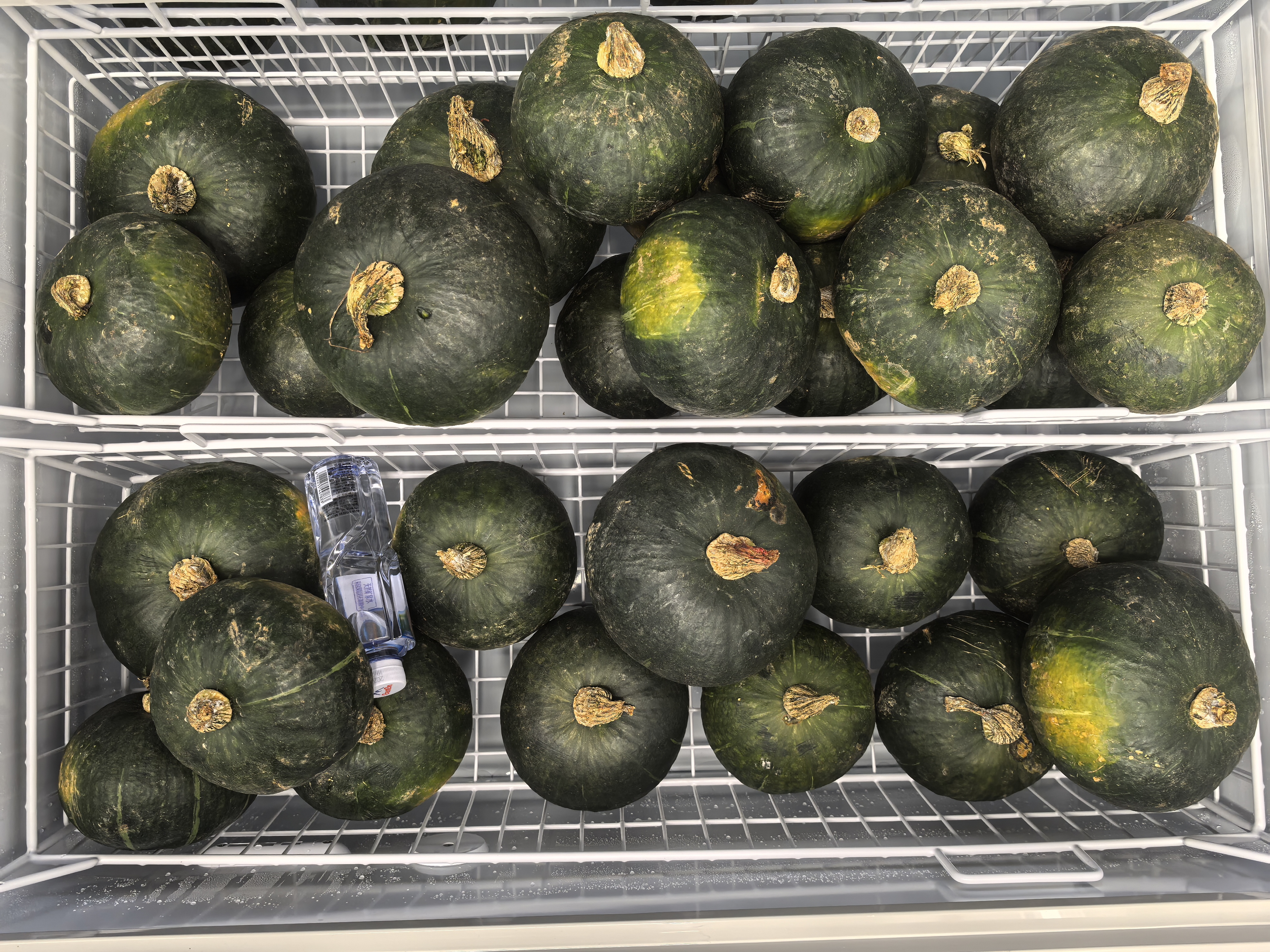 板栗南瓜与老南瓜烹饪用途对比图