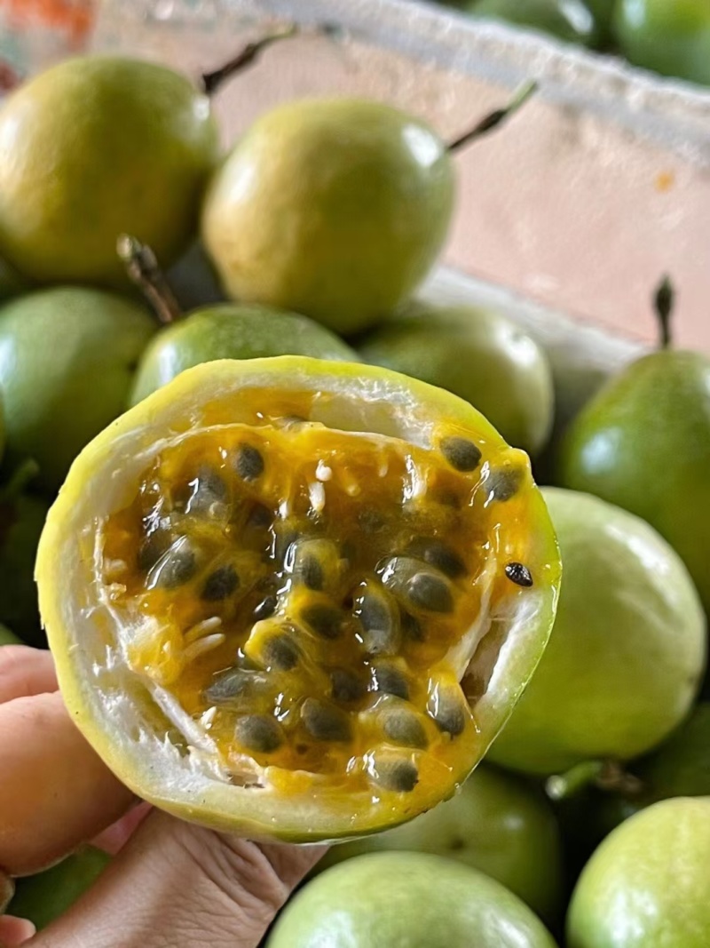 钦蜜九号黄金百香果