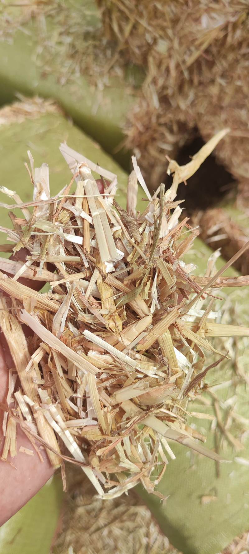 小麦秸秆柔丝风选除尘