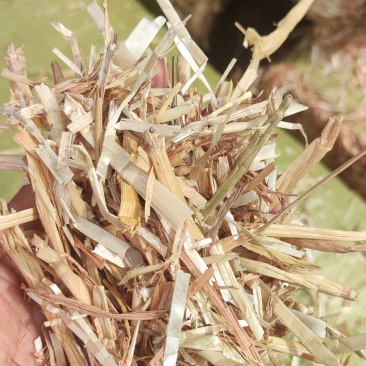 小麦秸秆柔丝风选除尘