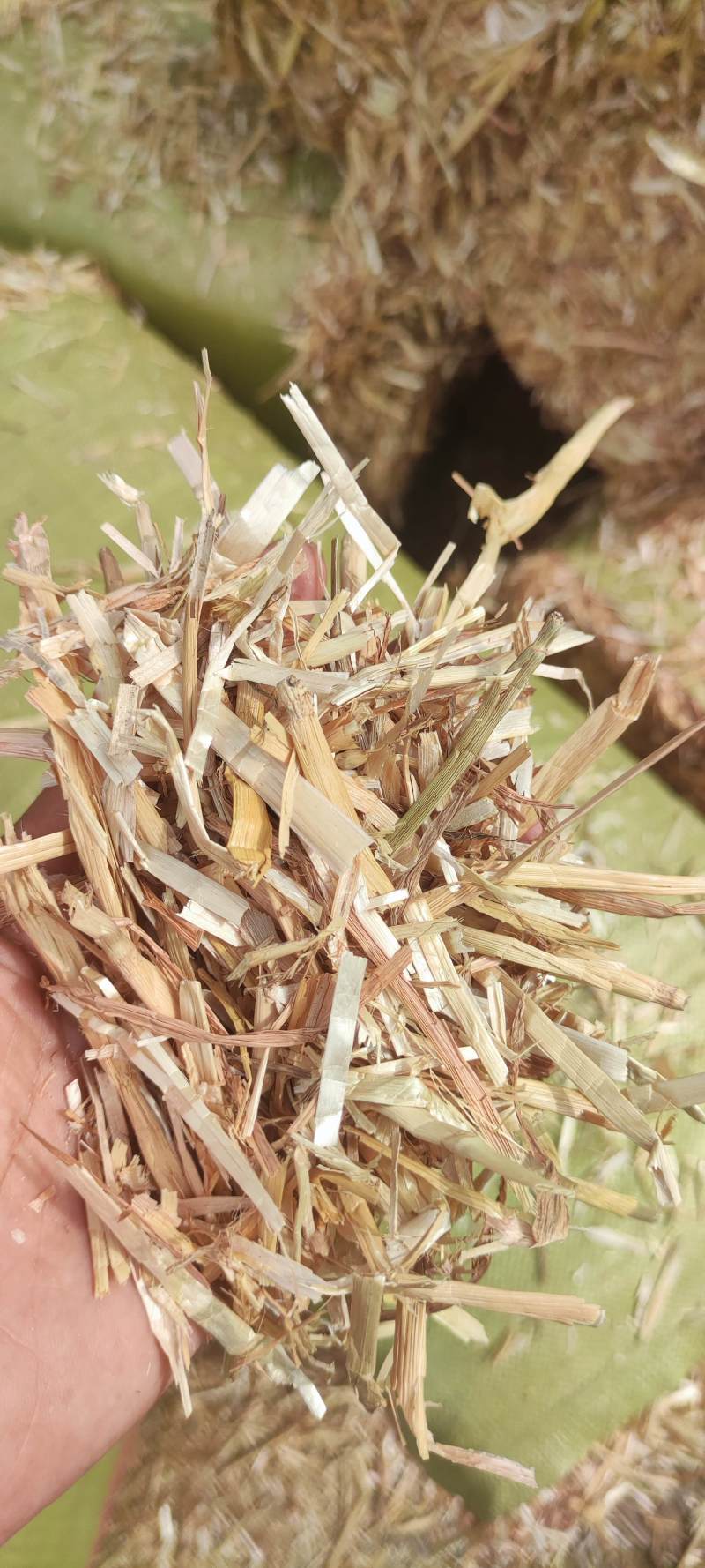 小麦秸秆柔丝风选除尘