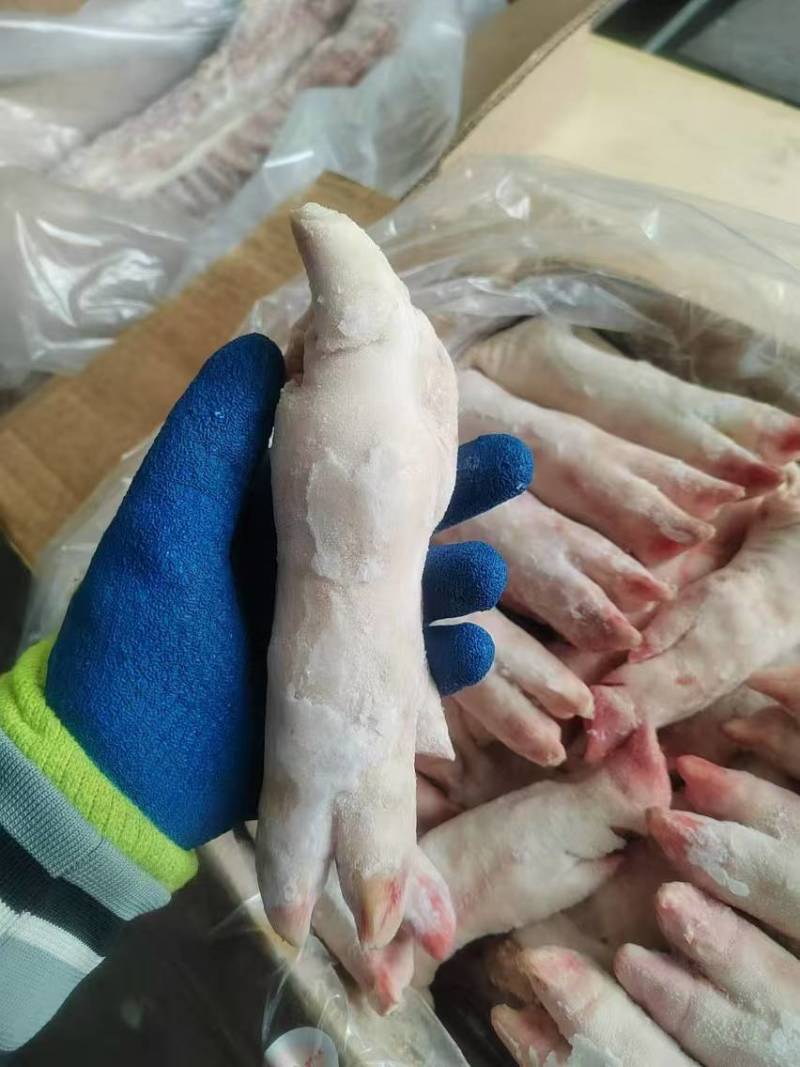 30个左右小猪蹄，纯干无毛厂家直销量大从优