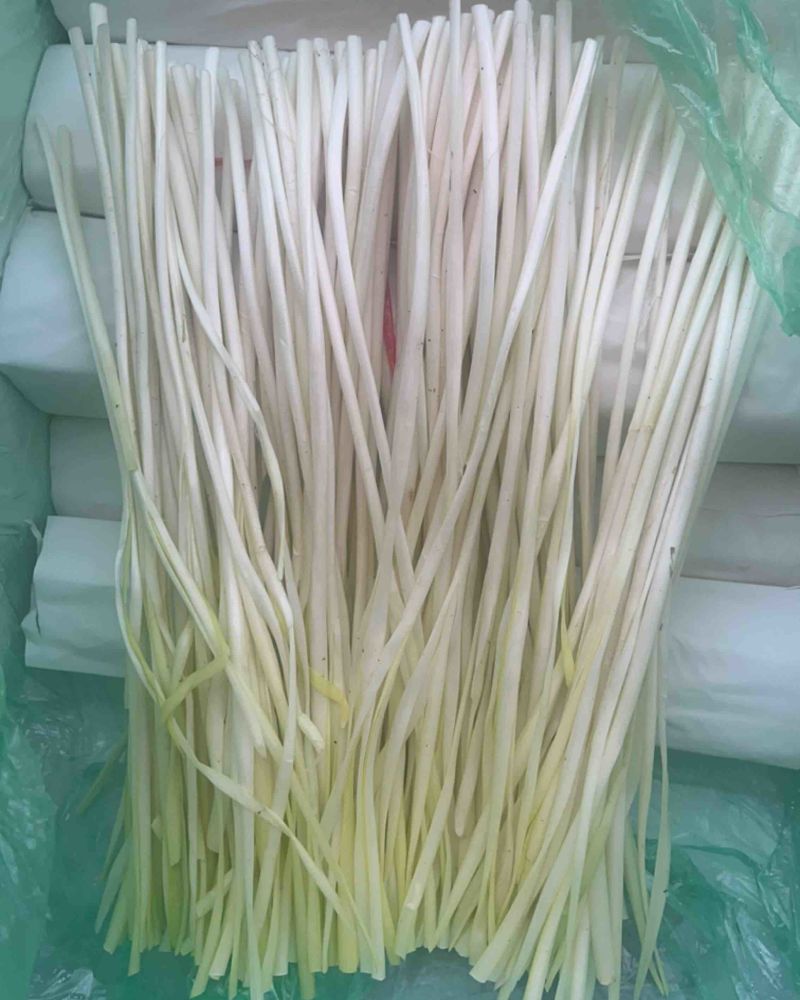 云南精品干韭黄