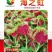 海之虹鲜嫩花红圆叶米苋