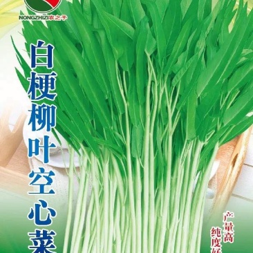 白梗柳叶空心菜收获量大纯度好