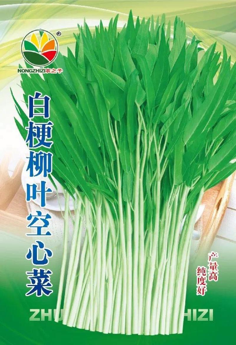 白梗柳叶空心菜收获量大纯度好