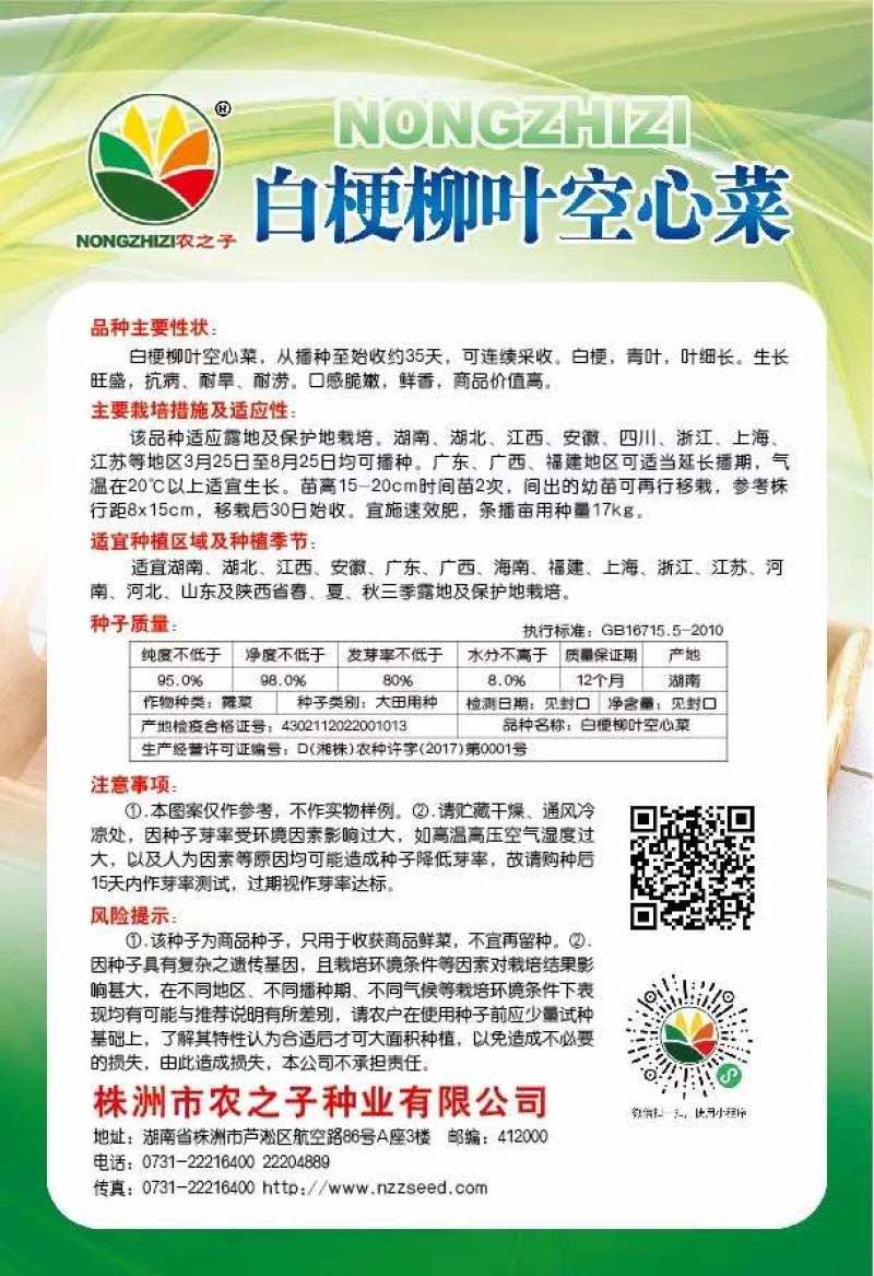 白梗柳叶空心菜收获量大纯度好