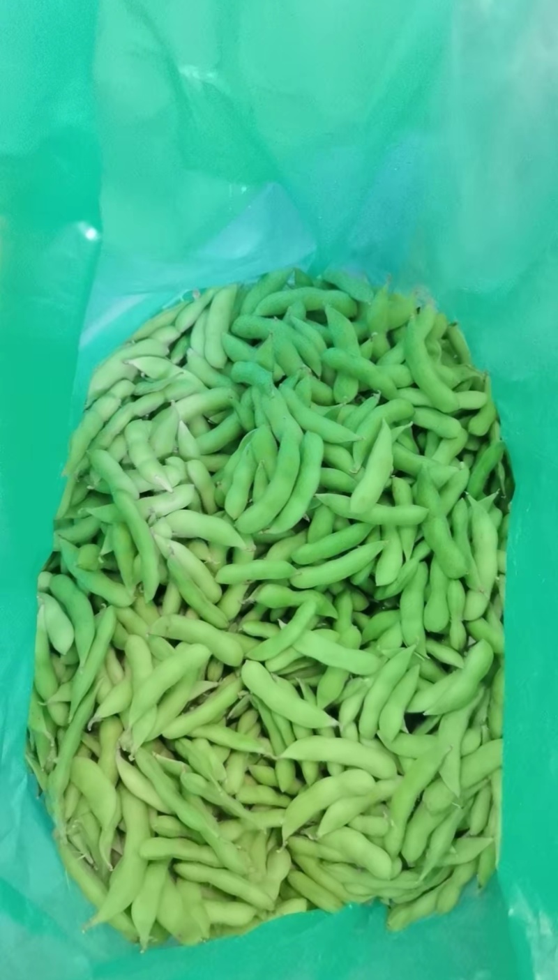 精品毛豆，千亩基地