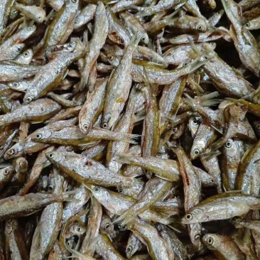 油炸小白肖鱼干