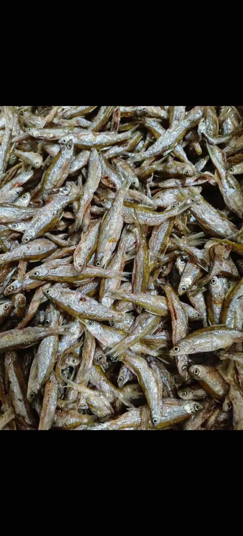 油炸小白肖鱼干