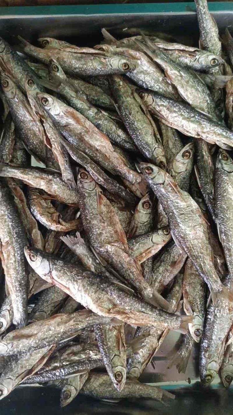 油炸白条鱼