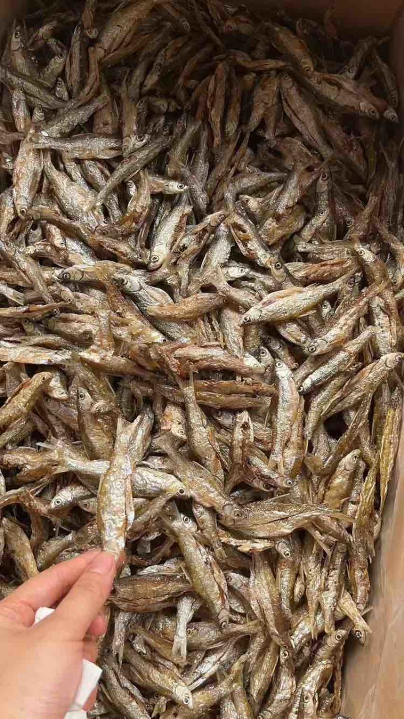 油炸白条鱼
