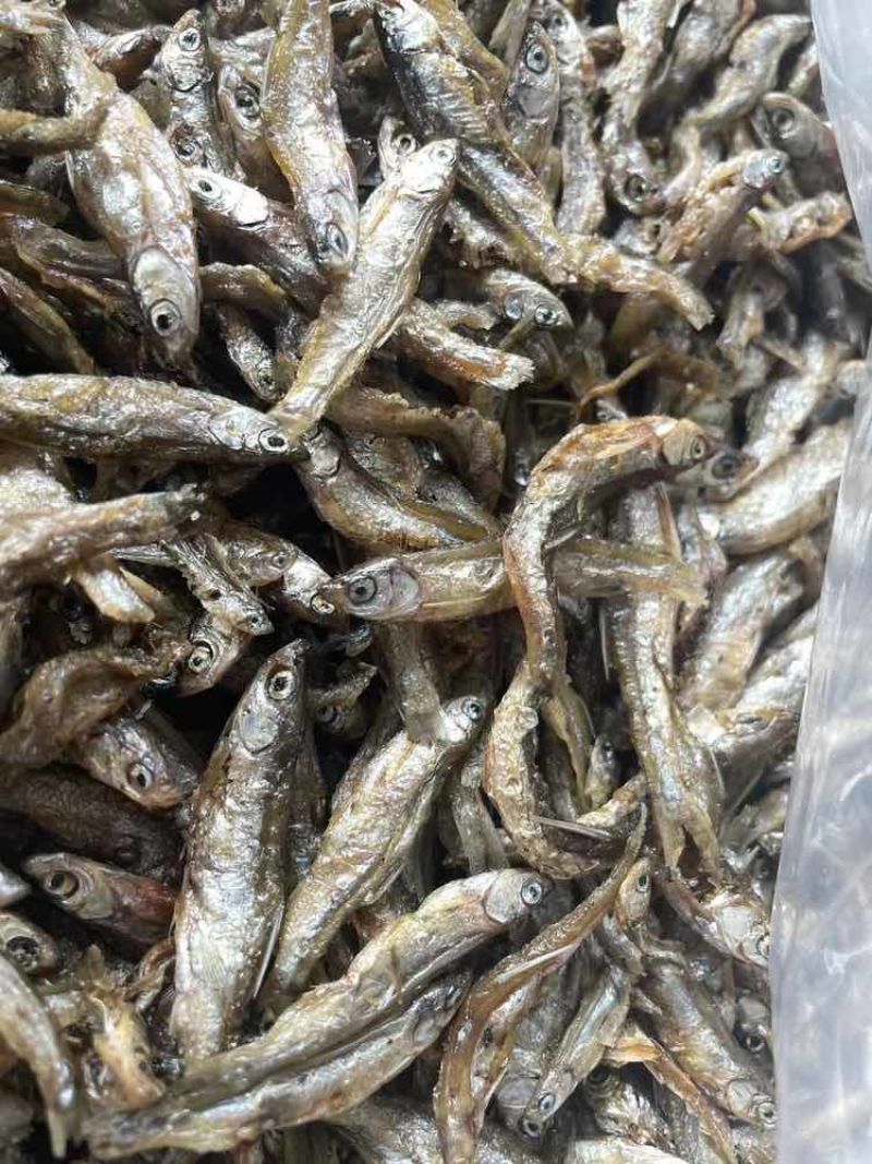 油炸白肖蓝刀