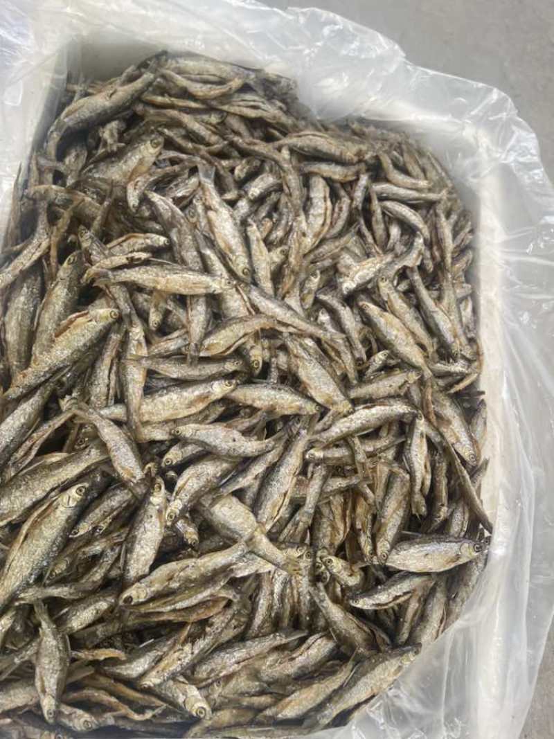油炸白肖蓝刀