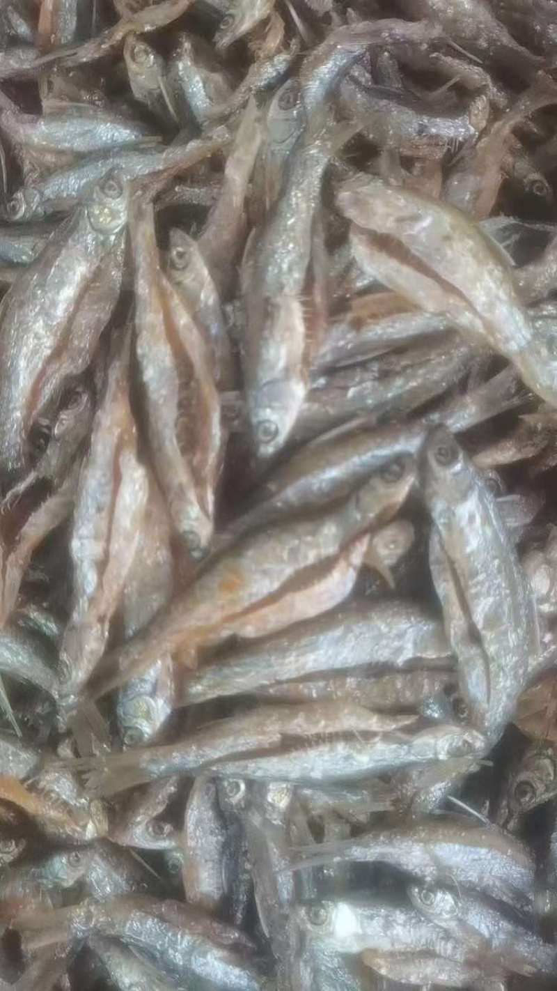 油炸白肖蓝刀